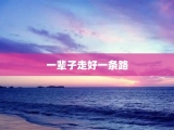 一辈子走好一条路