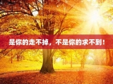 是你的走不掉，不是你的求不到！