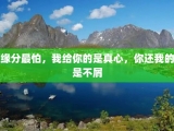 缘分最怕，我给你的是真心，你还我的是不屑