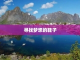 寻找梦想的鞋子