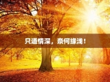 只道情深，奈何缘浅！