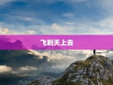 飞到天上去