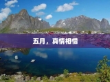 五月，真情相惜