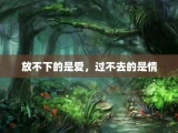 放不下的是爱，过不去的是情