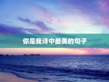 你是我诗中最美的句子
