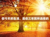 你今天的生活，是你三年前所选择的