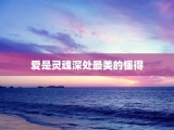爱是灵魂深处最美的懂得