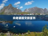 向老婆提交辞呈书