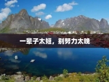 一辈子太短，别努力太晚
