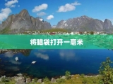 将脑袋打开一毫米