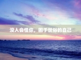 没人会怪你，困于世俗的自己