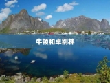 牛顿和卓别林