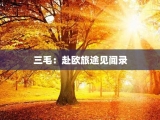 三毛：赴欧旅途见闻录