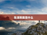 生活到底是什么