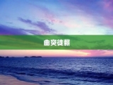 曲突徒薪