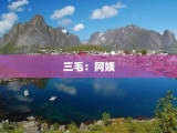 三毛：阿姨