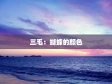 三毛：蝴蝶的颜色