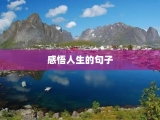 感悟人生的句子