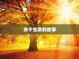 关于生命的故事