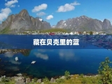 藏在贝壳里的蓝