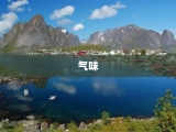 气味