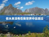 你从来没有在我世界中出现过