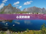 心灵的韵律