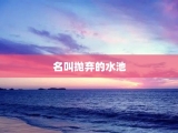 名叫抛弃的水池