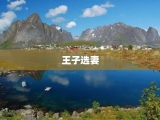 王子选妻