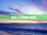 成功人士的奋斗事迹
