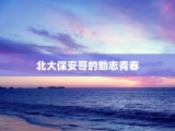 北大保安哥的励志青春