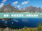 柴静：就算是昙花，也要这灿烂