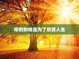 停的时候是为了欣赏人生