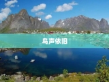 鸟声依旧