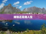 赚钱还是赚人生
