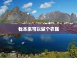 我本来可以做个农民