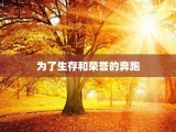 为了生存和荣誉的奔跑