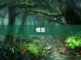 惜蕊