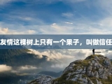 友情这棵树上只有一个果子，叫做信任