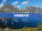 只有美丽不老