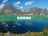 感谢两棵树