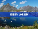 周国平：文化现象