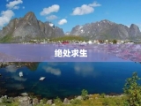 绝处求生