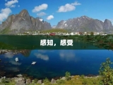 感知，感受
