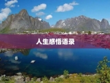 人生感悟语录