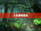 人生感悟签名
