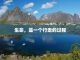 生命，是一个行走的过程