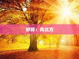舒婷：向北方