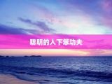 聪明的人下笨功夫