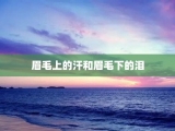 眉毛上的汗和眉毛下的泪